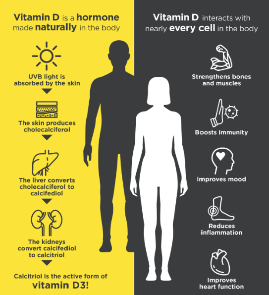Vitamin D3: An Indispensable Power Source for Your Health